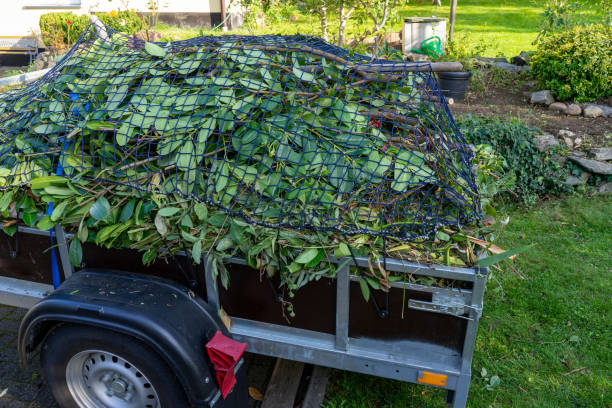 Best Shed Removal  in Mayville, ND